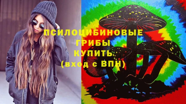 первитин Краснослободск