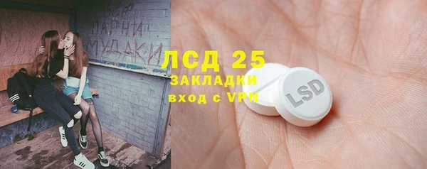 гашик Ладушкин