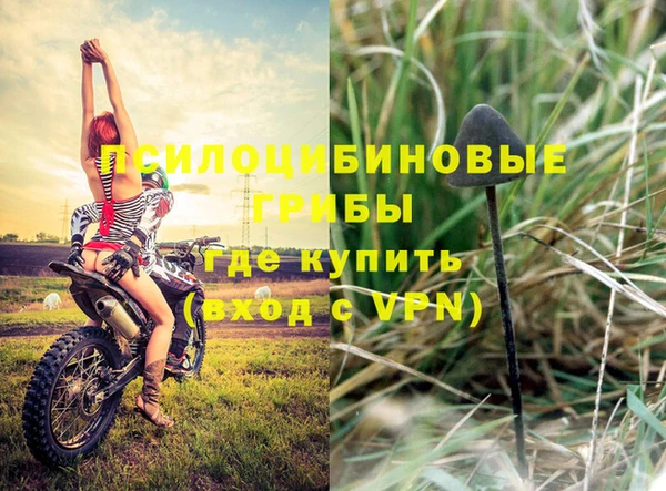 гашик Ладушкин