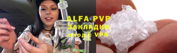 гашик Ладушкин