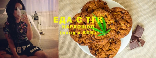 гашик Ладушкин