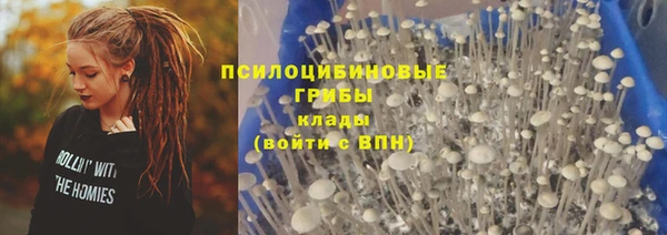 гашик Ладушкин