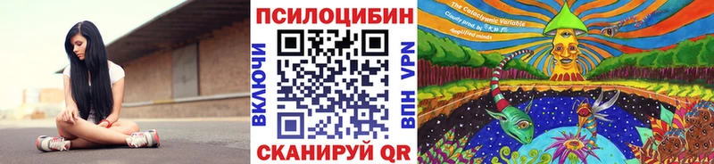 Галлюциногенные грибы Cubensis Суздаль